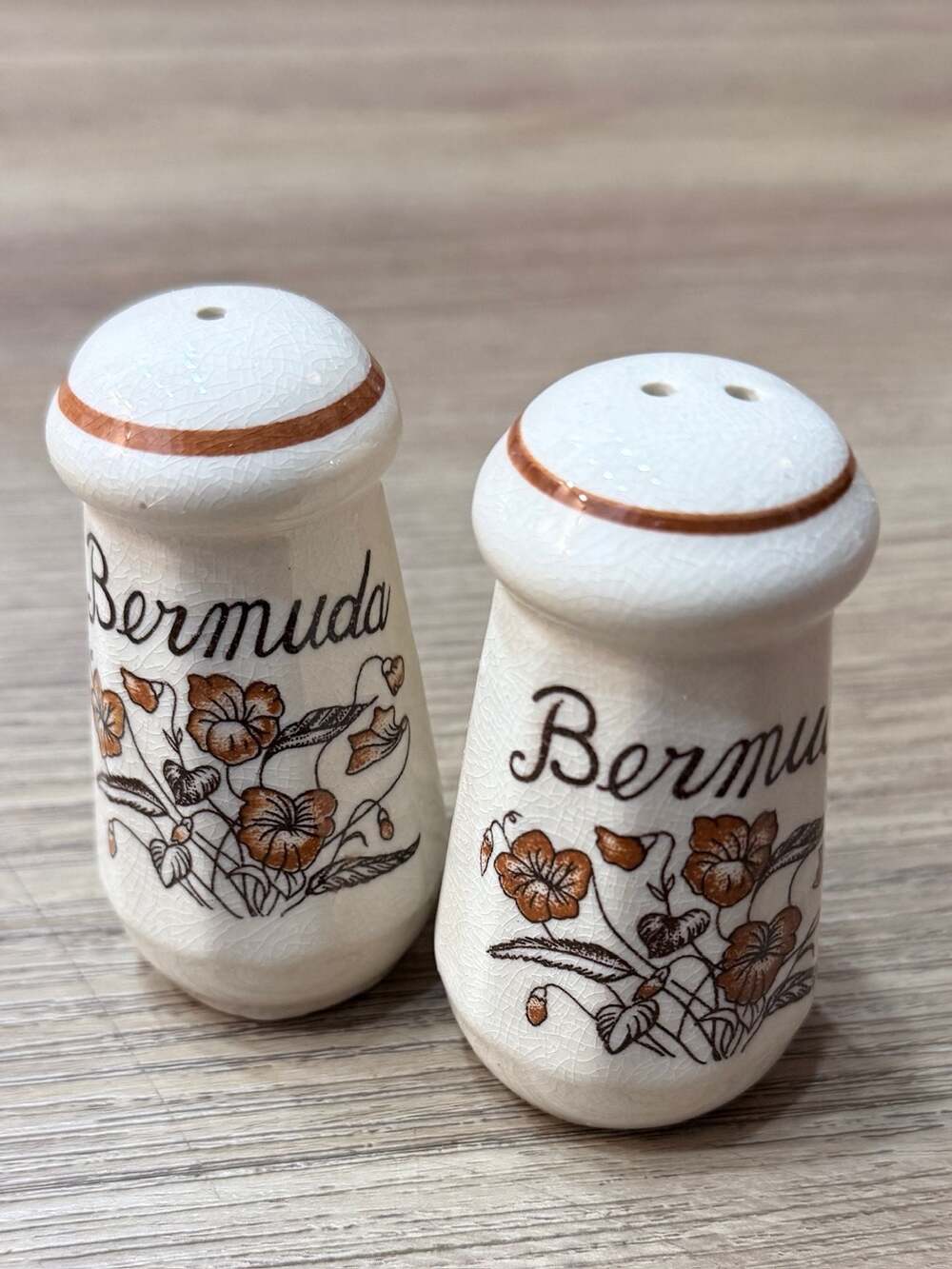 Vintage Bermuda Souvenir Ceramic Floral Salt and Pepper Shakers Set